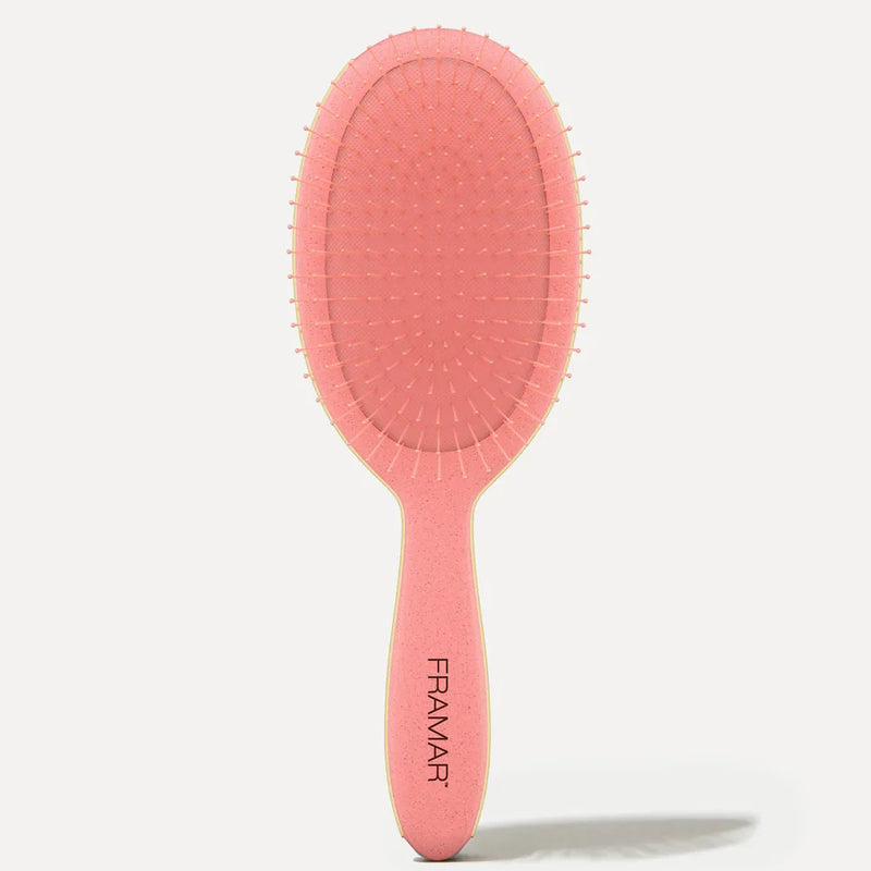 Baecation - Coral Detangle Brush