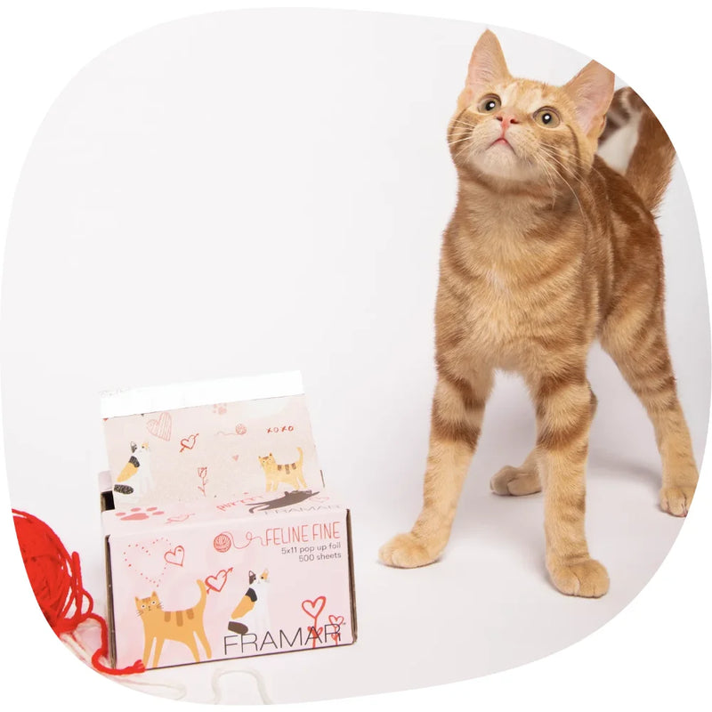 Framar Foil It Embossed - FELINE FINE SHEETS - 5x11 Pre-Cut - 500pcs