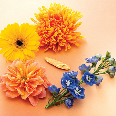 Limited Edition Printemps Leaf Slide