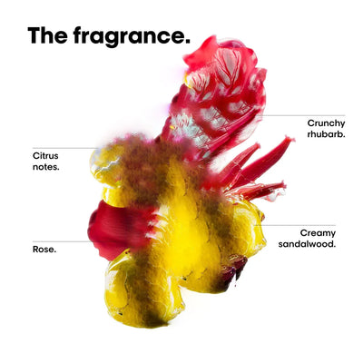 SERIE EXPERT Vitamino Color Spectrum Shampoo