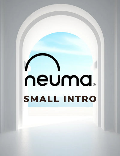 neuma 2023 Introductory Offers - Small